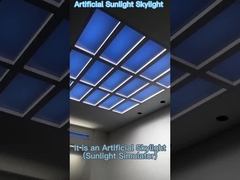 Artificial sun lights are suitable for various scenes