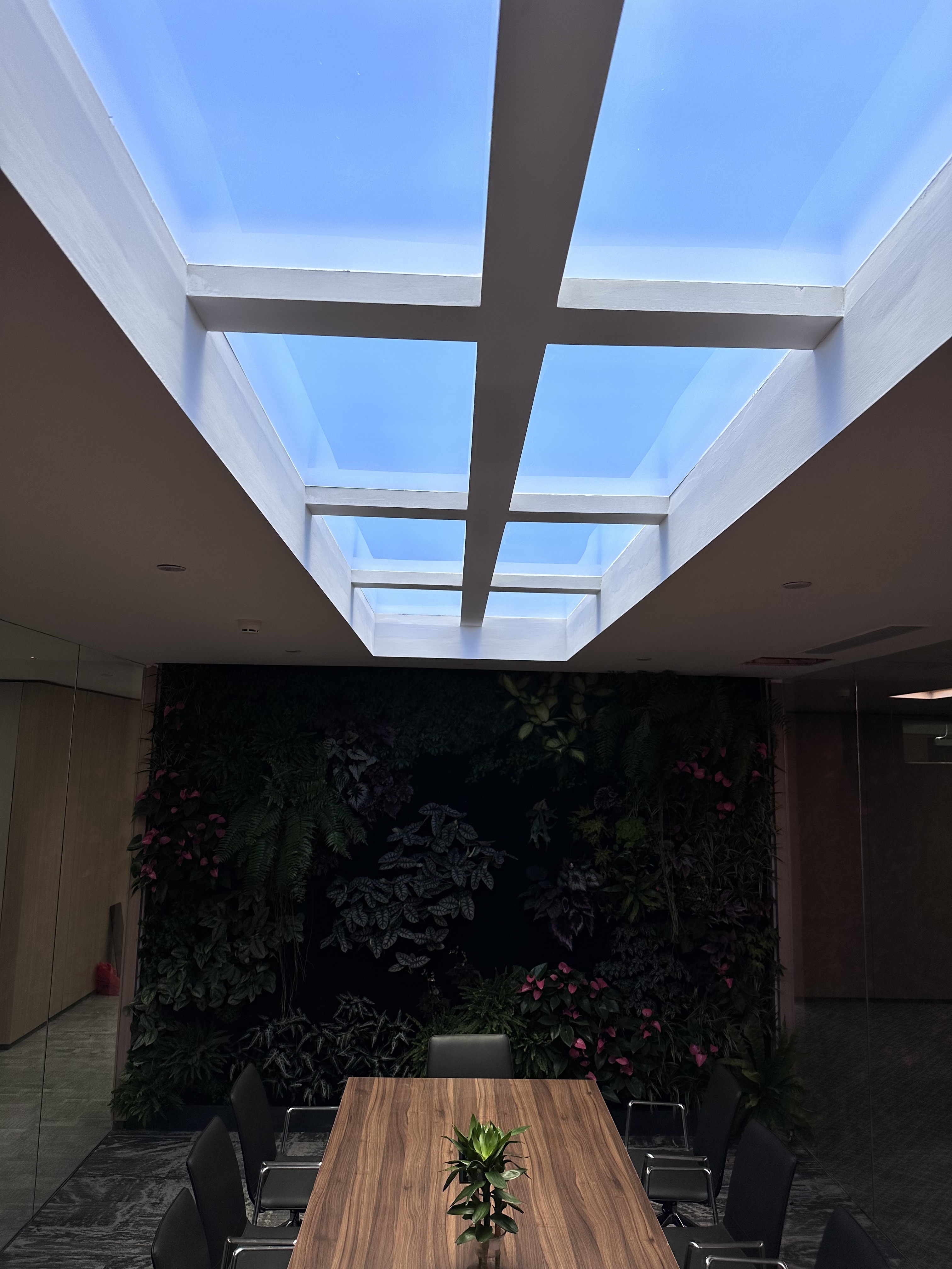 Latest company blogs about Why Rayleigh-Scattering Lights Are Different from Standard LED Panel Lights