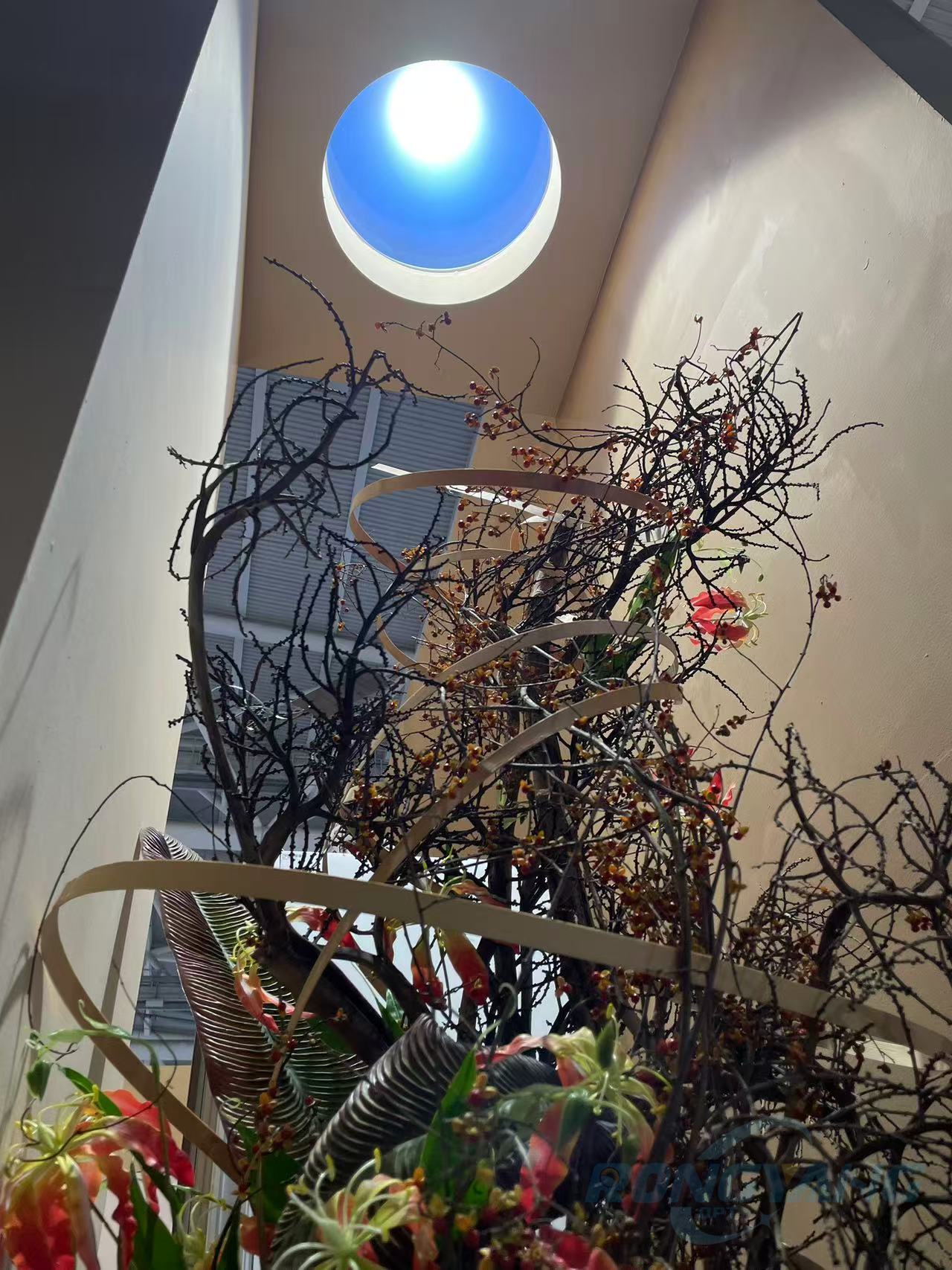 Latest company blogs about Skylight Lighting for Airports and Transportation Hubs