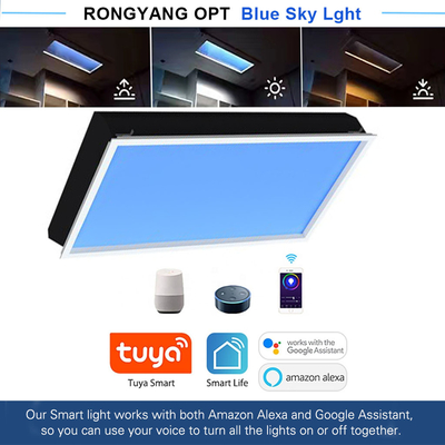 Buy Energy-Saving Artificial LED Skylight Commercial LED Outdoor Lighting 3000K-6000K online manufacture