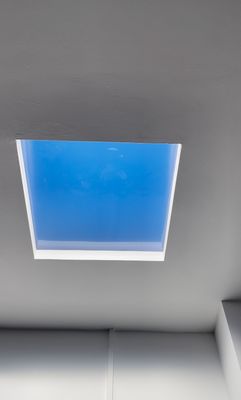 Buy Circadian LED Fake Skylight, 30° Light, CCT 2100K–7800K, High Performance online manufacture