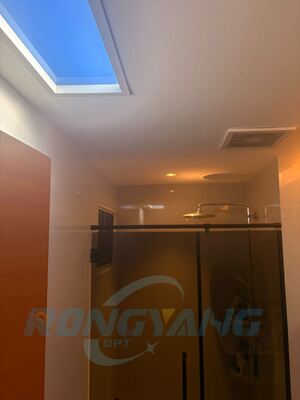 Buy 80W Artificial Skylight with Tuya, DALI & Zigbee Smart Control Custom OEM Factory online manufacture