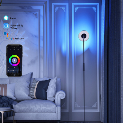 Multi Scene DC 24V RGB Lamp Corner , Voice Command Floor Lamp LED RGB