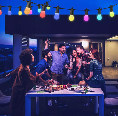 2700K Christmas RGB String Light Voice Control Stable Practical
