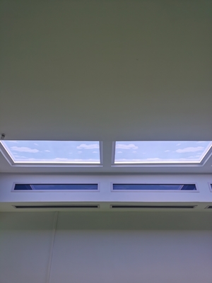 Aluminum LED Skylight Light with Durable Aluminum Housing and Light Color Temperature 2100K-7500K
