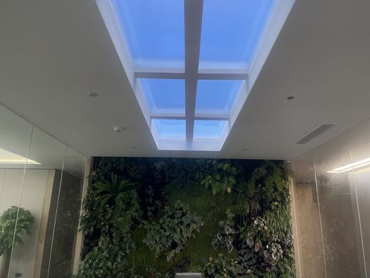 White Light Color Embedded Artificial LED Skylight 12kg Embedded Installation Method for Commercial