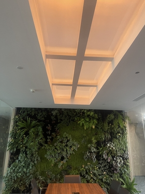 White Light Color Embedded Artificial LED Skylight 12kg Embedded Installation Method for Commercial